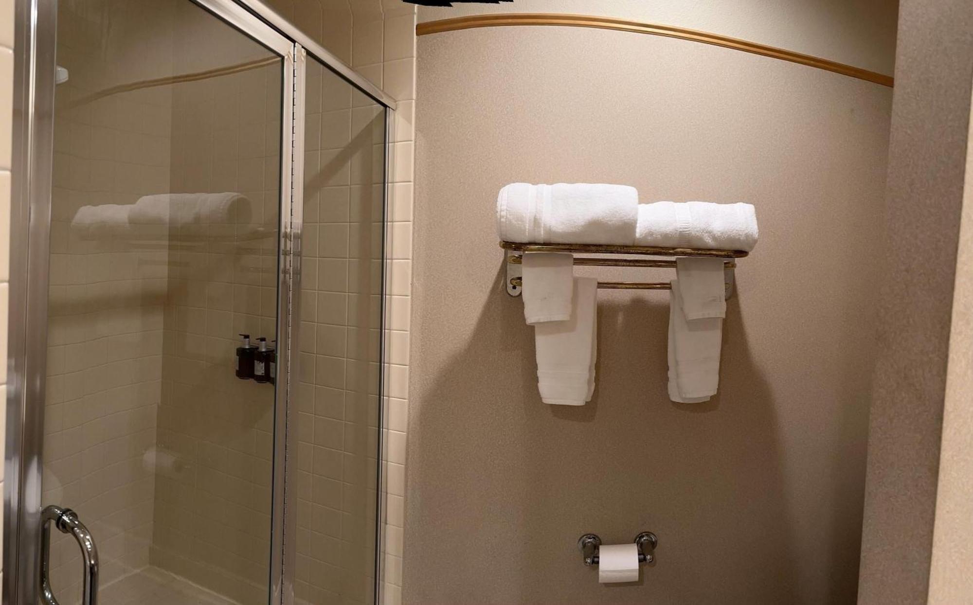 Park Hotel, Trademark Collection By Wyndham 3* Rocklin